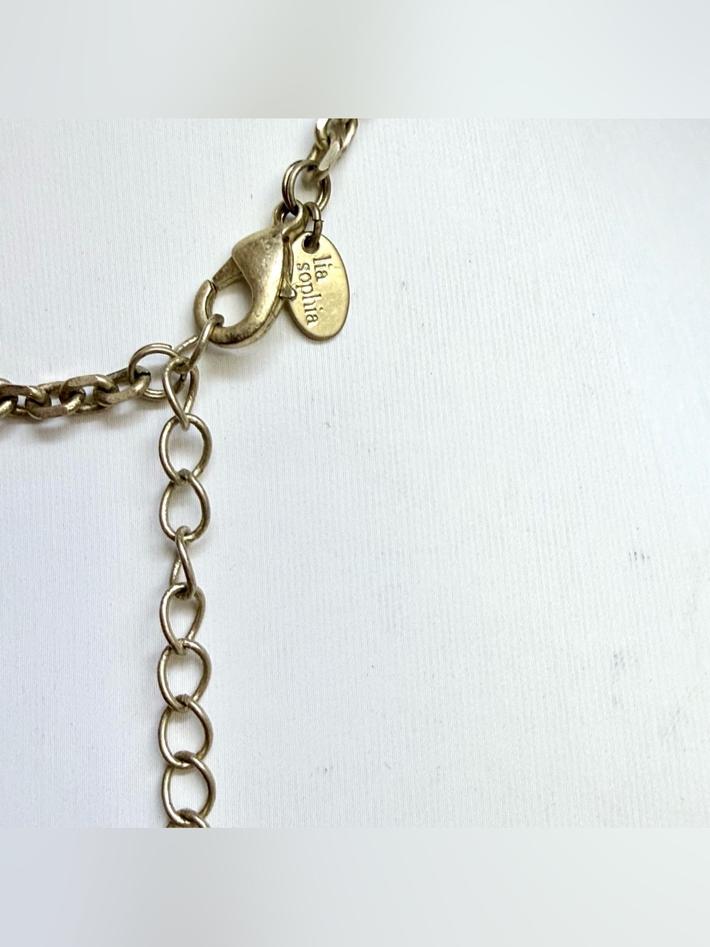 Lia Sophia Garden Rose long necklace - Picture 5 of 5
